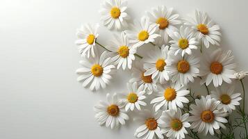 ai généré médicinal camomille fleurs sur une blanc Contexte photo