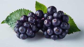 ai généré une bouquet de sureau des fruits avec feuilles sur une blanc Contexte photo