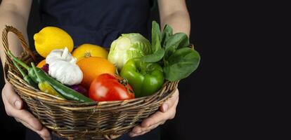 le cuisinier est en portant une panier de des légumes et des fruits. cuisine . en bonne santé en mangeant génial aliments. végétarien aliments. bannière. nourriture Contexte. photo