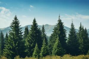 ai généré majestueux à feuilles persistantes des arbres contre une clair ciel. génératif ai photo