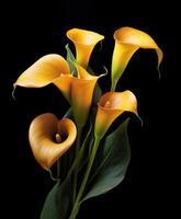 ai généré bouquet de calla lis plus de noir Contexte photo