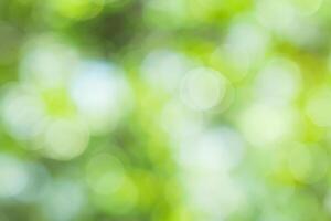 la nature embrasser, abstrait vert bokeh Contexte de arbre dans Naturel alentours photo