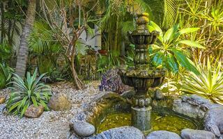 nostalgique vert Fontaine dans le jardin puerto escondido Mexique. photo