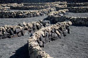 gros plan de gerias, murs de pierre en demi-cercles pour protéger les vignes. Lanzarote, îles Canaries, Espagne photo