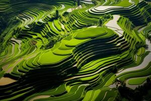 ai généré aérien coup capturer le étourdissant géométrie de une en terrasse paddy champ paysage. génératif ai photo