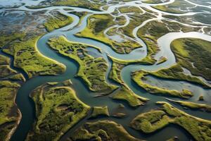 ai généré aérien vue de une rivière delta tissage par marécageux marécages. génératif ai photo