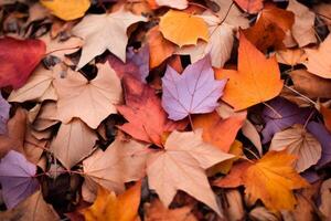 ai généré déchue feuilles formant une Naturel tapis de couleur. génératif ai photo