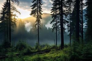 ai généré le sérénité de une Montagne forêt dans le de bonne heure Matin. génératif ai photo