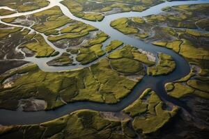 ai généré aérien vue de une rivière delta tissage par marécageux marécages. génératif ai photo