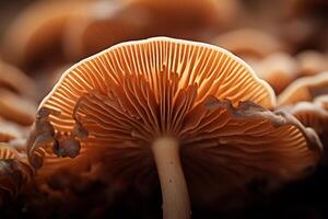 ai généré le texture de une champignon casquette. génératif ai photo