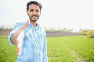 portrait de agriculteur permanent dans une blé champ. agriculteur des stands dans vert blé champ, regards, examine le sien surgir photo