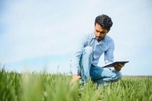 un asiatique agriculteur des stands dans une riz champ. photo