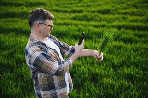 expérimenté et sur de soi agriculteur sur le sien champ. portrait de Sénior agriculteur agronome dans blé champ. photo