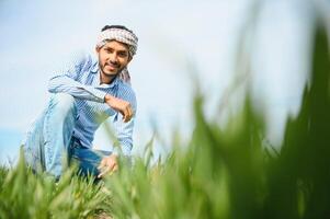 portrait de Jeune Indien agriculteur portant formel robe dans vert paddy champ. photo