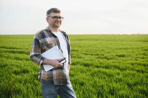 une Jeune agriculteur inspecte le qualité de blé choux dans le champ. le concept de agriculture. photo