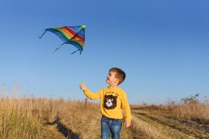 peu garçon en jouant avec cerf-volant sur prairie. enfance concept photo