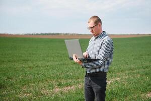 agriculteur permanent dans Jeune blé champ examiner surgir et à la recherche à portable. photo