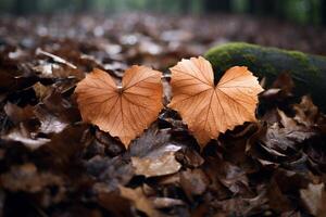 ai généré deux cœur en forme de feuilles sur une forêt sol. génératif ai photo