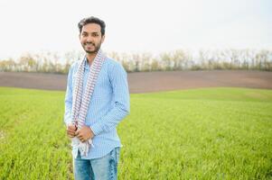 portrait de agriculteur permanent dans une blé champ. agriculteur des stands dans vert blé champ, regards, examine le sien surgir photo