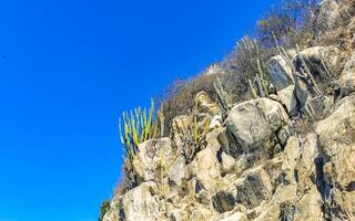 magnifique rochers falaises rochers Montagne dans puerto escondido Mexique. photo