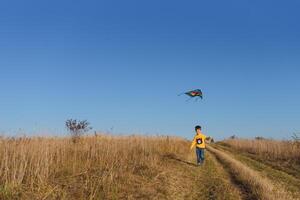 peu garçon avec cerf-volant en volant plus de le sien tête photo