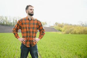 une Jeune agriculteur inspecte le qualité de blé choux dans le champ. le concept de agriculture. photo