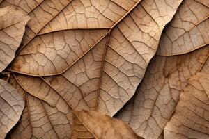 ai généré un extrême fermer de le texture de une des arbres feuilles. génératif ai photo