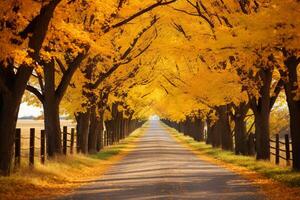 ai généré charmant pays route doublé avec des arbres orné dans leur l'automne meilleur, de premier plan à une horizon de interminable tomber beauté. génératif ai photo