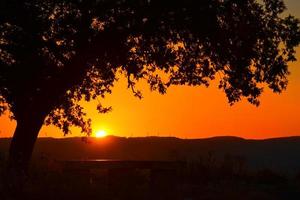 silhouette d'un arbre avec le coucher de soleil brillant derrière l'horizon photo