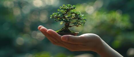 ai généré une solitaire Humain main en présentant une miniature bonsaï arbre photo