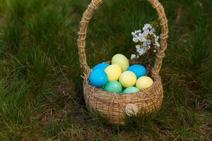 peindre des œufs pour Pâques, brillant Pâques vacances, les enfants peindre œufs, coloré des œufs dans une panier, coloré des œufs sur une rester, vacances Contexte photo