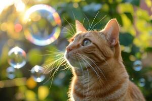 ai généré curieuse chat avec moustaches parmi lumière du soleil en train de regarder bulles dans une jardin réglage photo