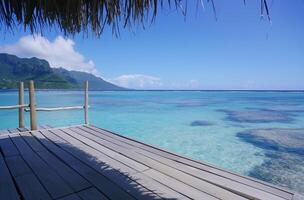 ai généré serein tropical paysage marin photo