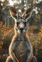 ai généré Jeune kangourou est séance dans le herbe et à la recherche à le caméra photo