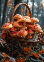 ai généré amanite muscaria champignons dans panier dans le forêt photo