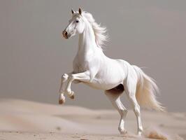 ai généré blanc cheval élevage en haut sur le le sable dans le désert photo