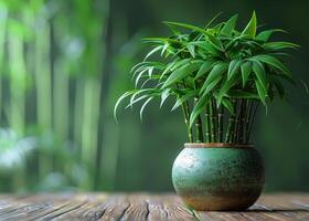 ai généré vert bambou plante dans le pot sur en bois table plus de brouiller vert bambou Contexte photo