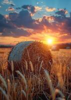 ai généré foins balle dans le champ à le coucher du soleil photo