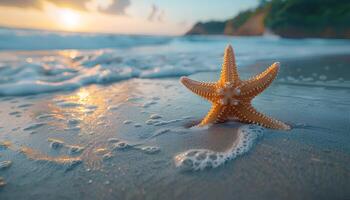 ai généré étoile de mer sur le plage. étoile de mer sur le le sable fermer. fermer de une mer étoile sur une sablonneux plage dans tropical emplacement photo