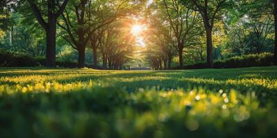 ai généré Soleil brille par des arbres dans parc photo