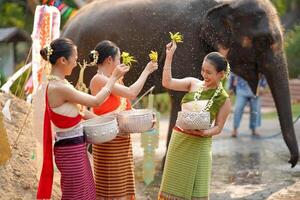 fermer magnifique thaïlandais Jeune Dame vaisselle thaïlandais traditionnel robe utilisation fleurs à saupoudrer l'eau sur chaque autre sur le thaïlandais Nouveau années journée dans une amusement façon sur flou l'éléphant et pile de le sable Contexte. photo