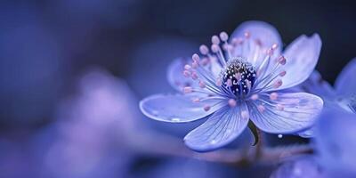 ai généré macro beauté. capturer le exquis détails de une magnifique fleur. photo