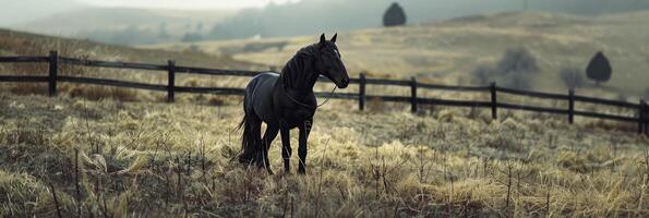 ai généré flanc de coteau noir cheval photo