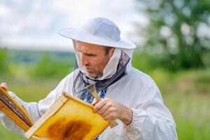 le apiculteur détient une mon chéri cellule avec les abeilles dans le sien mains. apiculture. rucher. photo