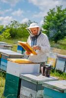 homme travail dans rucher. protecteur vêtements. apiculture. apiculture concept. photo