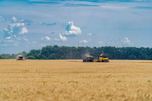 lourd agriculture technique dans champ. rassemblement récolte. sec blé. photo