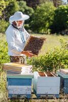 apiculture, apiculture concept. apiculteur homme dans professionnel apiculteur costume inspecte en bois nid d'abeille Cadre. collecte mon chéri sur ensoleillé été journée. photo