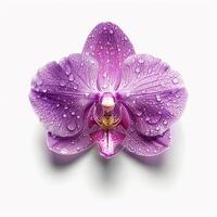 ai généré Frais orchidée fleur isolé sur blanc Contexte. fermer tir. photo