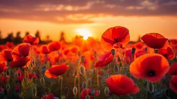 ai généré coquelicot paradis Contexte photo