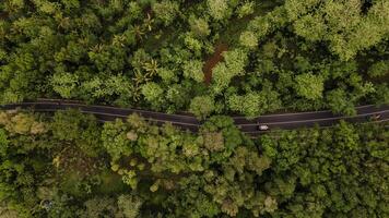 aérien voir, asphalte route enroulement par forêt et campagne. photo